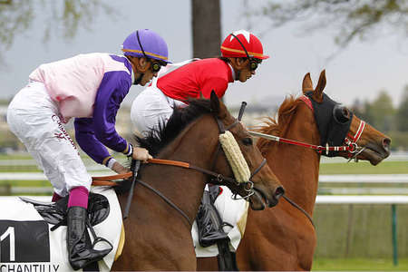 Actualités Hippiques